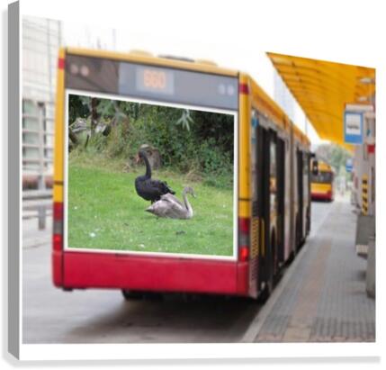 JPT 65 Canvas Print