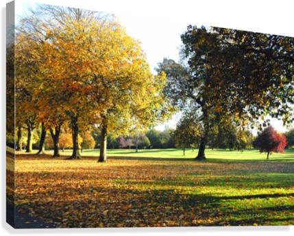 JPT 44T Canvas Print