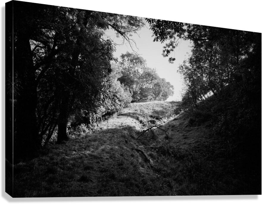 _JPT9115_01 Canvas Print