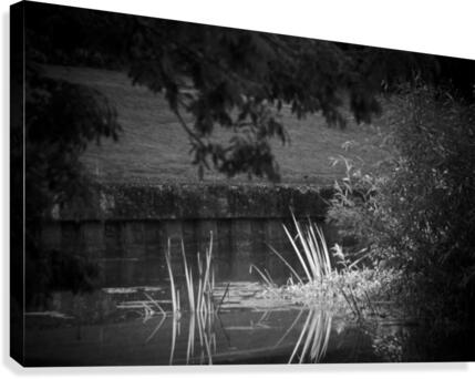 JPT_1499 Canvas Print