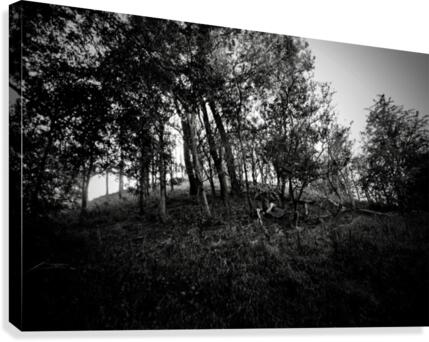 _JPT9114_01 Canvas Print