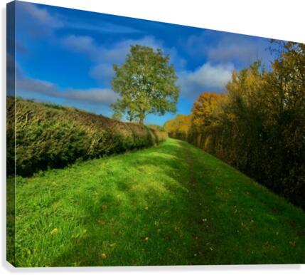 JPT 9810 Canvas Print