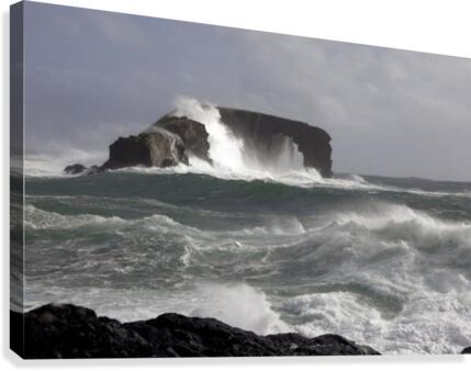 jpt 9910 Canvas Print