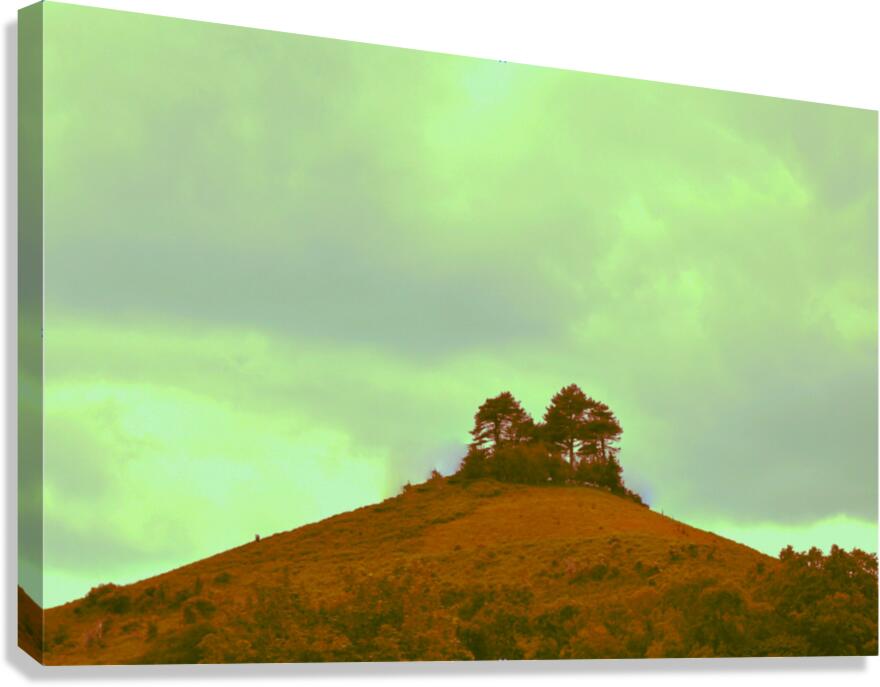 jpt 555ghh Canvas Print