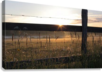 JPT 3321 Canvas Print