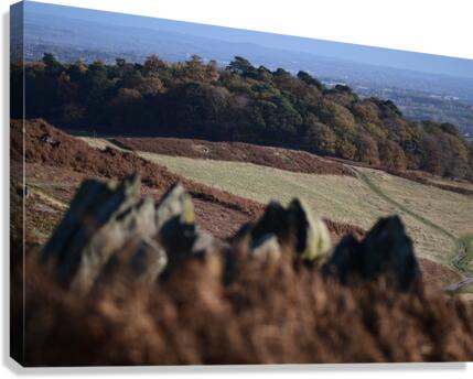 JPT 1606 Canvas Print