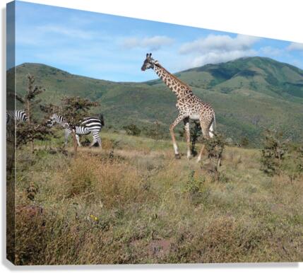 JPTCM 7 Canvas Print