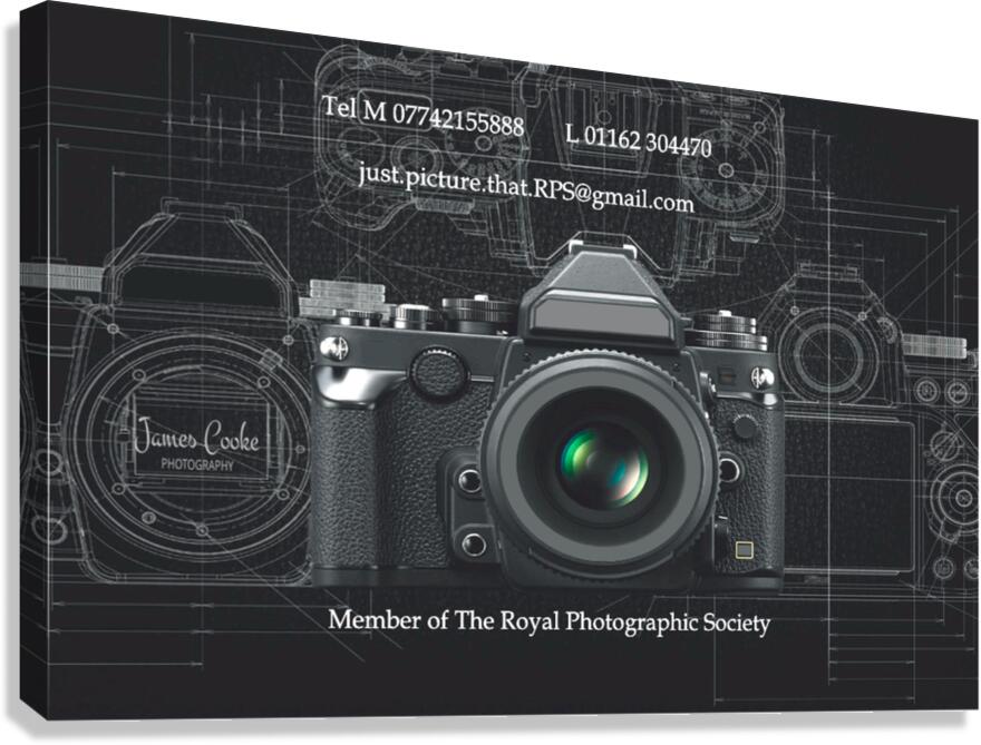 YES 13 copy Canvas Print