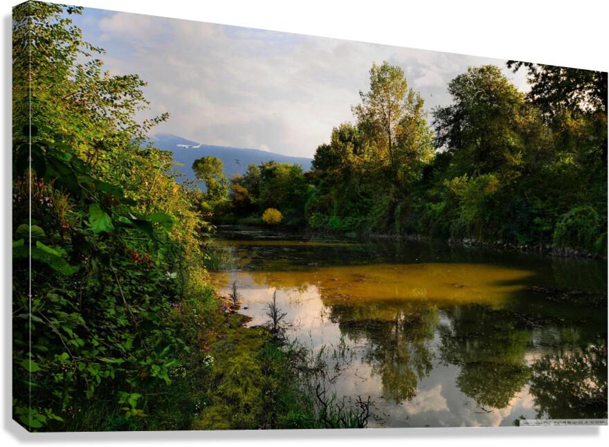 JPT 16 Canvas Print