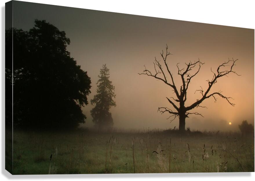 JPT00024 Canvas Print