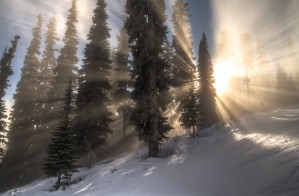Morning_mist