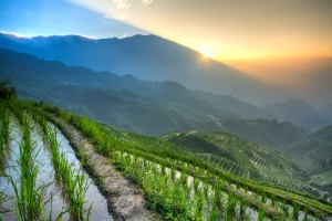 Sunrise@longji