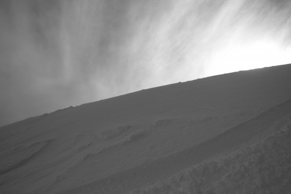 Whiteout Print