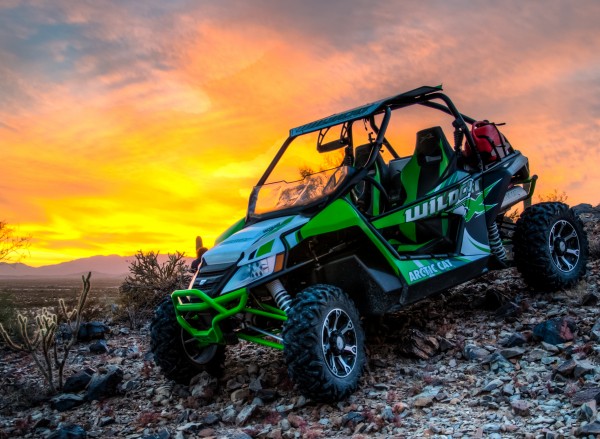 Wildcat Sunset Print