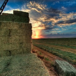 Haystack
