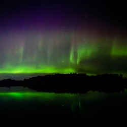 Fall Auroras