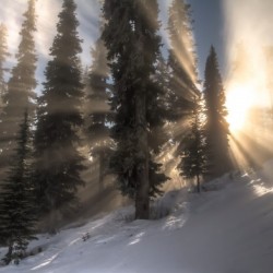 Morning_mist
