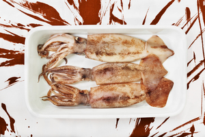 Uncooked squid fish in plate