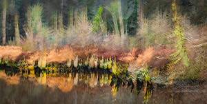 Whispers Along the Waterline