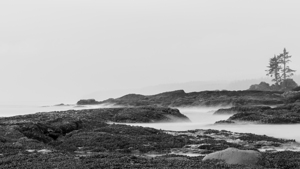 Mist Over the Tidal Rocks