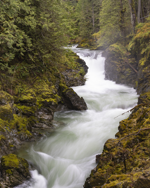 Cascade at Little Qualicum