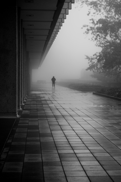 Mist and Solitude