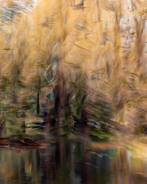 Autumn Brush Strokes