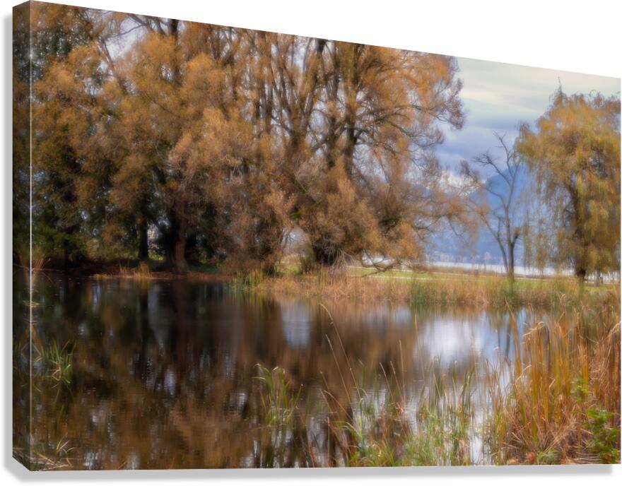 Autumn Glow Canvas Print