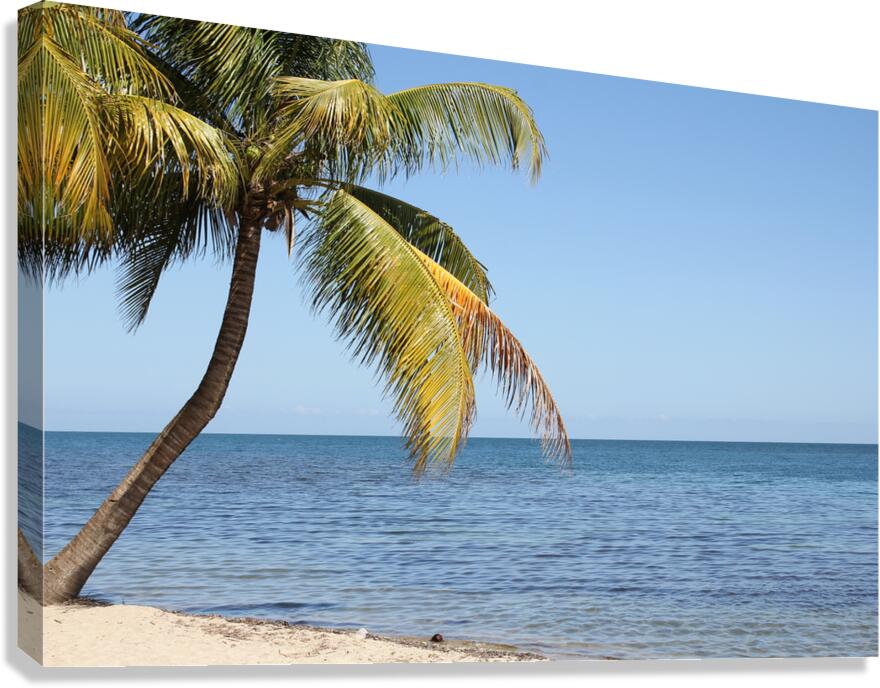 Belize Beach1 Canvas Print