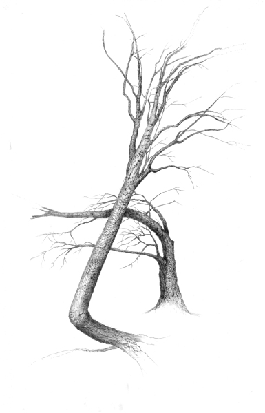 tree1 1 Print