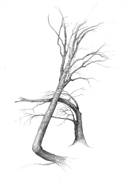 tree2 1 Print