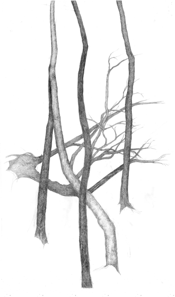 tree4 Print