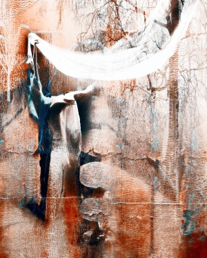 Dancer in the forest
