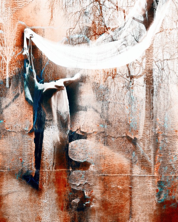 Dancer in the forest Print