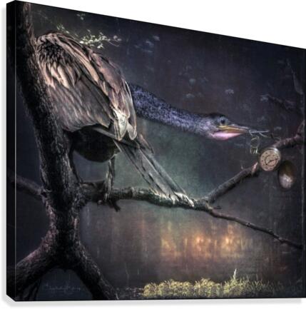 Stealing Time Canvas Print