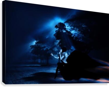 Shhhhhh Canvas Print