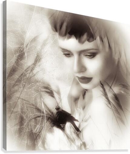 The bird Canvas Print