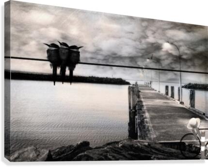 Storm coming  Canvas Print