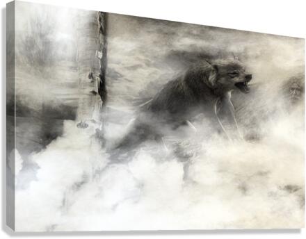 The wolf Canvas Print