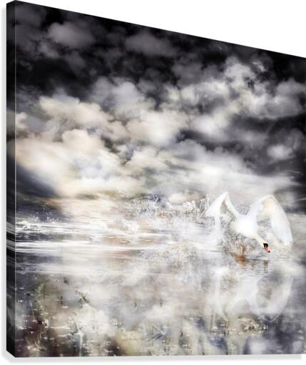 The Landing Canvas Print