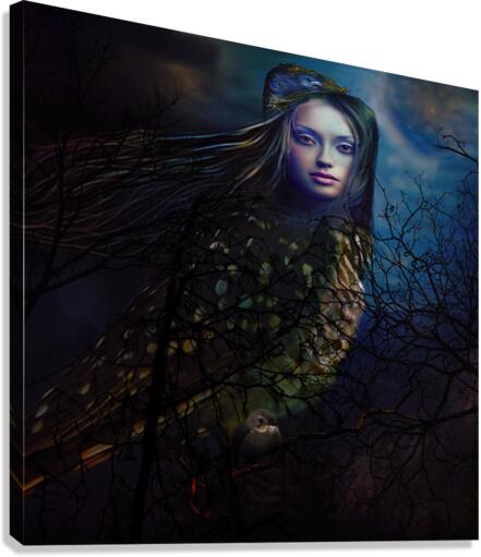 Inner Wisdom Canvas Print