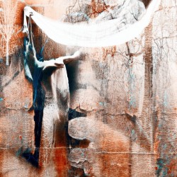 Dancer in the forest
