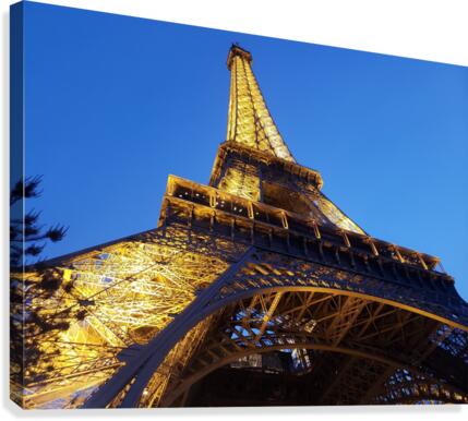 Eiffel Tower  Canvas Print