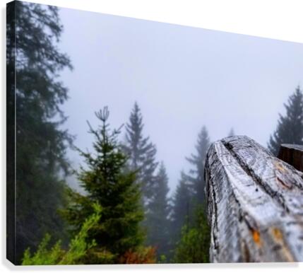 Mt Rigi Canvas Print