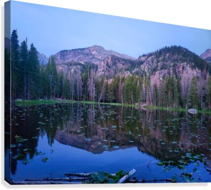 Nymph Lake  Canvas Print