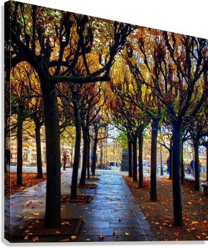 Dresden Canvas Print