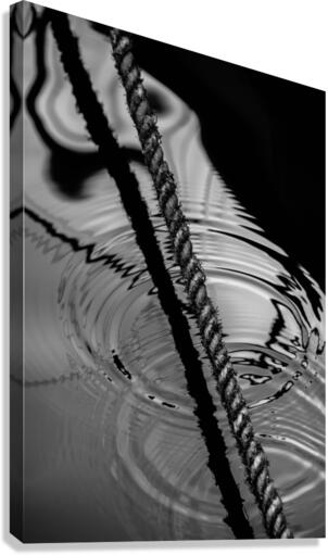 Refelctions Canvas Print