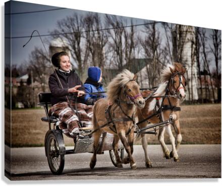 Buggy riding Canvas Print