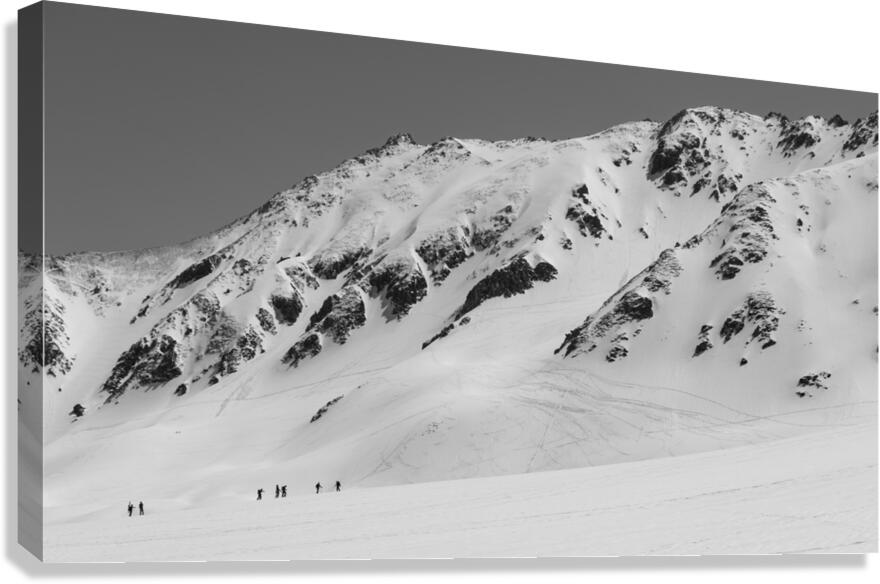 Scale Canvas Print