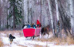 Chasing the Sleigh